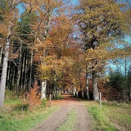 Petit Nid D'Ouffet Casa de Férias Ouffet